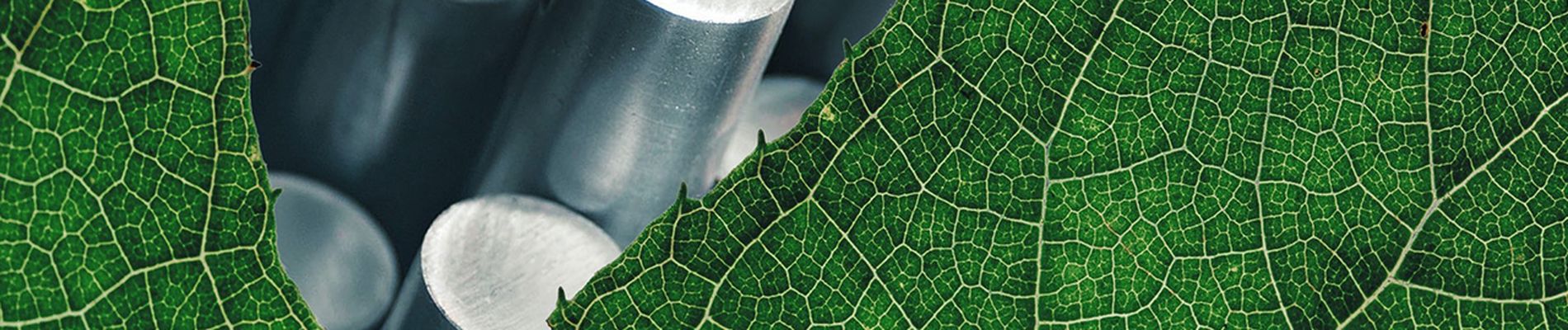 ecovadis_ranking_header_1280x515.jpg.jpg