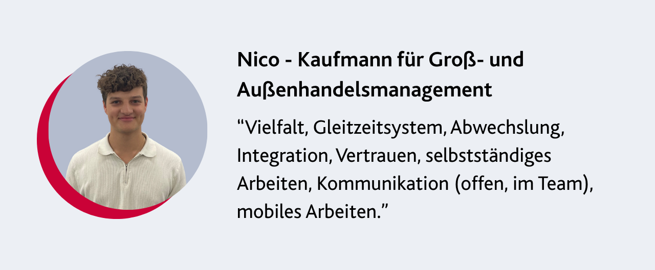 ALL Azubi Testimonials - Testimonial Nico